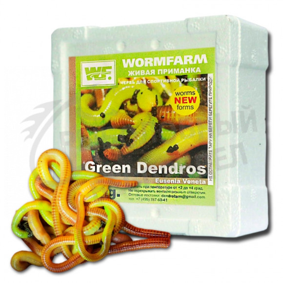 Черви Dendrobena XL Eusenia Veneta WORMFARM Green 15g