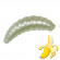 Мягкая приманка Trout HUB Maggot 1.5" pearl банан