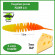 Мягкая приманка Trout HUB Plamp 2.8" #202 Limon + Orange сыр