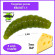 Мягкая приманка Trout HUB Maggot 1.5" olive-glitter сыр