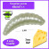 Мягкая приманка Trout HUB Maggot 1.5" pearl сыр